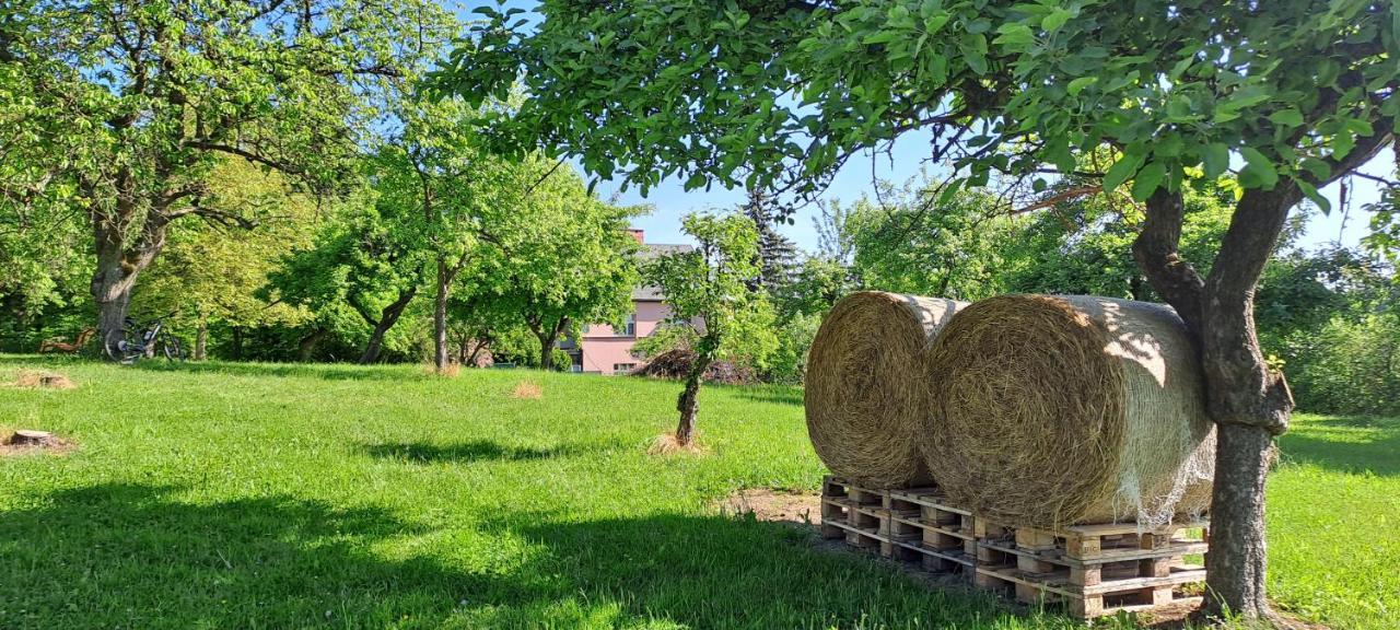 Česká SkaliceChata Pohadka别墅 外观 照片